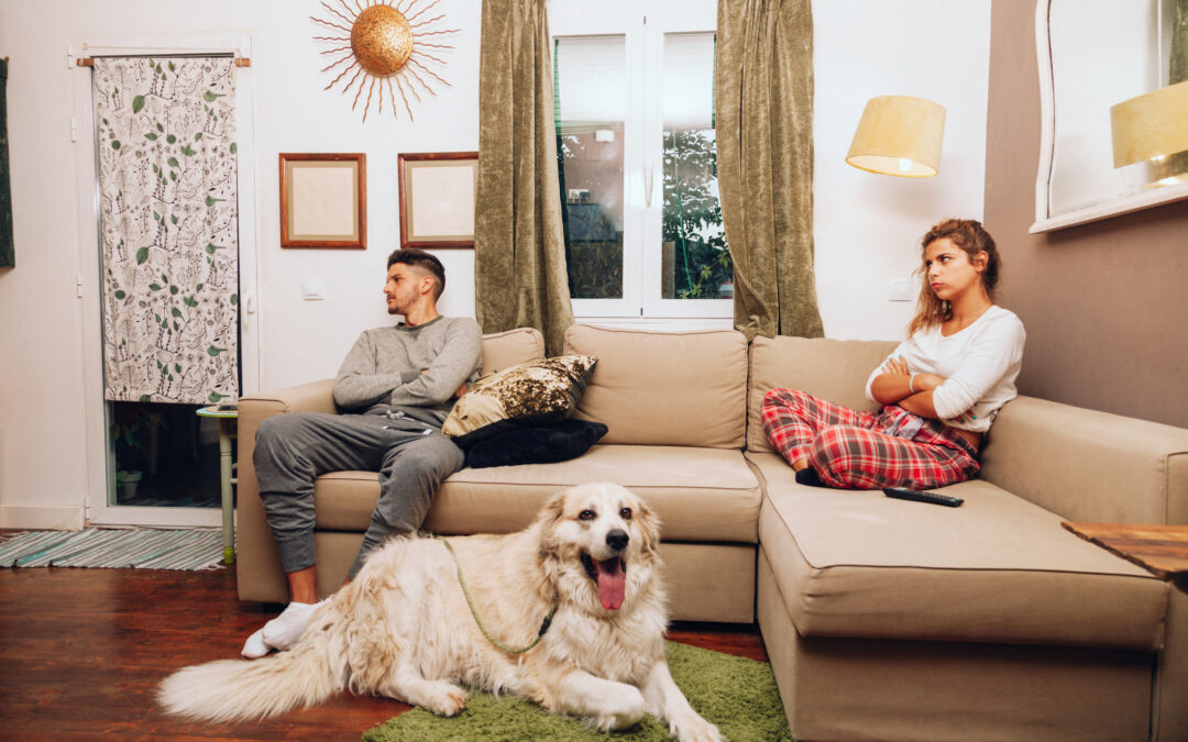 Who Gets the Dog? A New North Carolina Case on Pets and Breakups